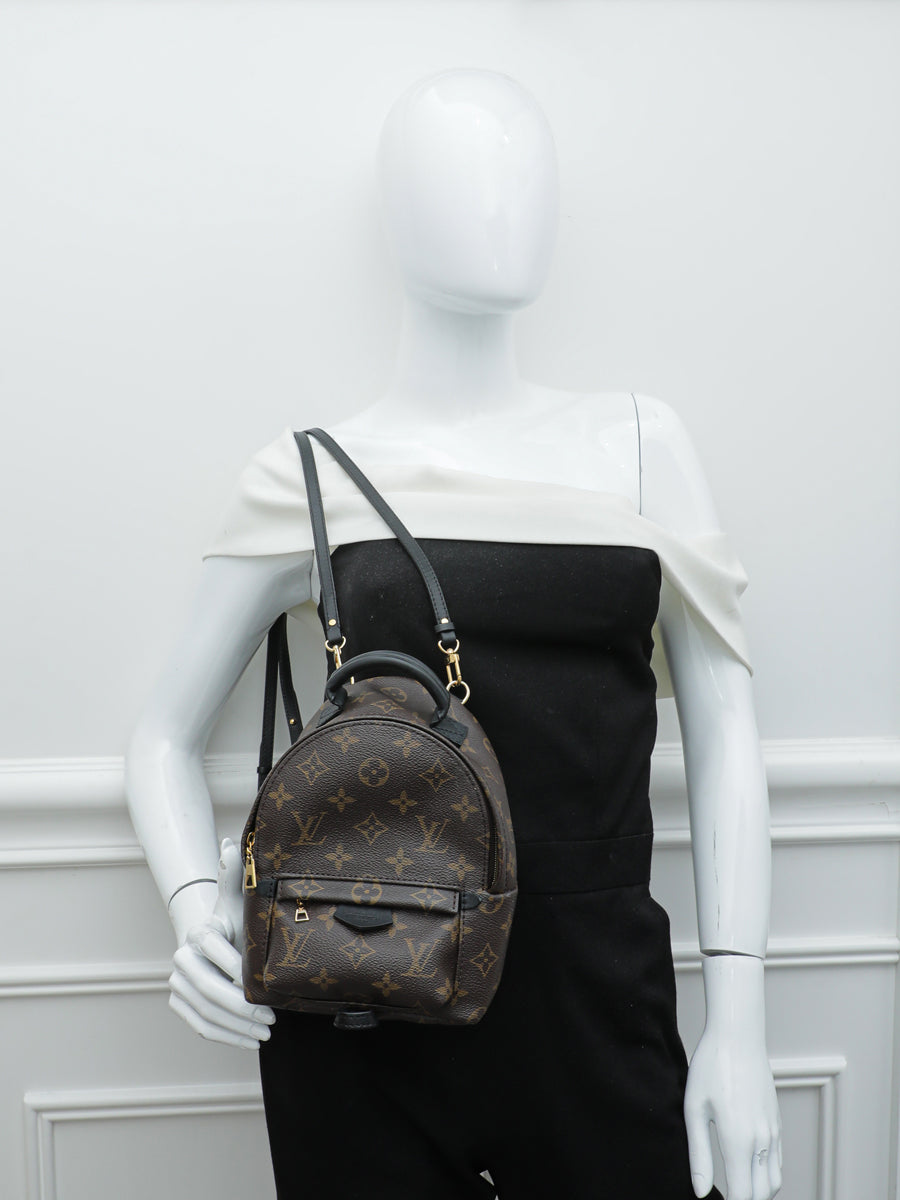 Louis Vuitton Monogram Palm Spring Mini Backpack Bag