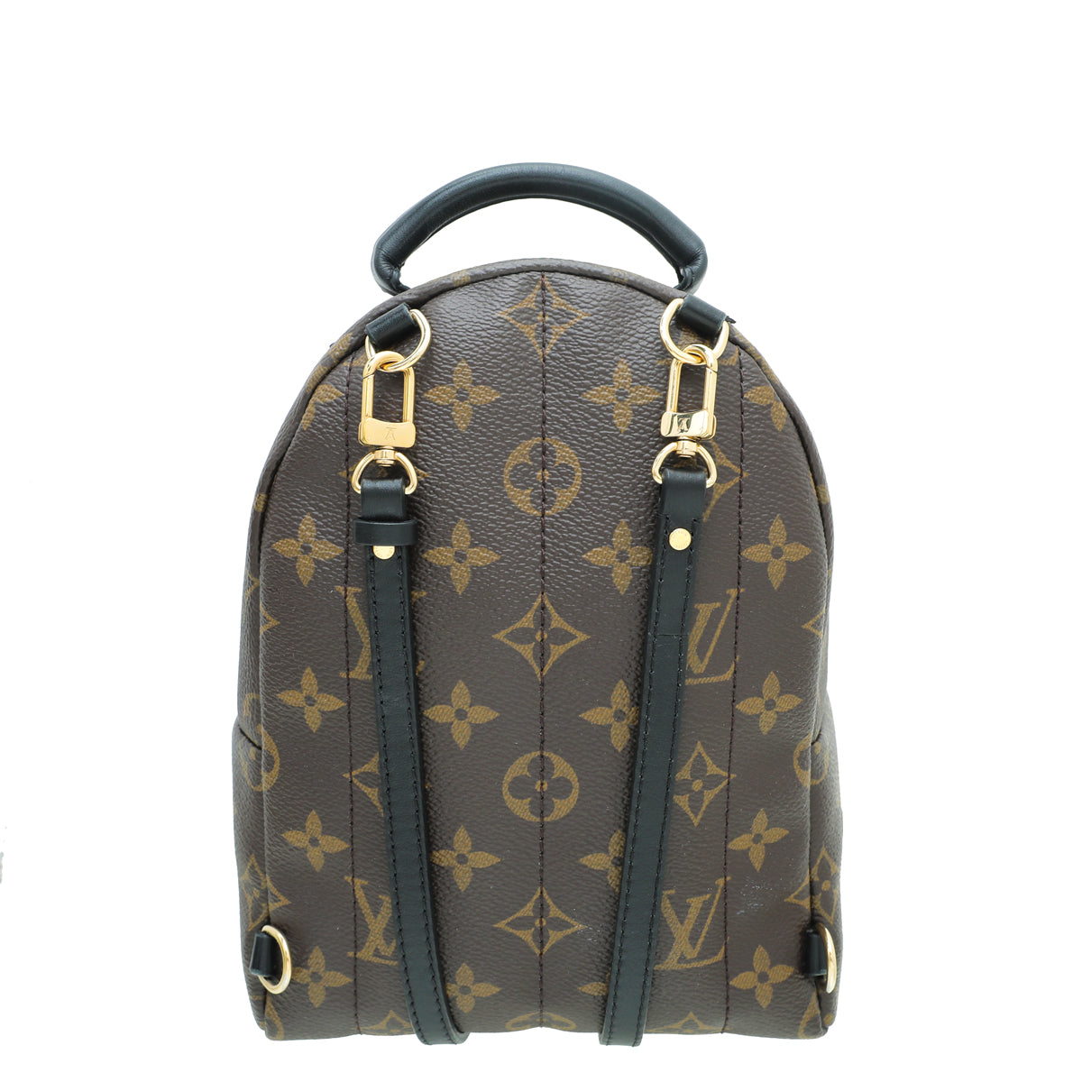 Louis Vuitton Monogram Palm Spring Mini Backpack Bag