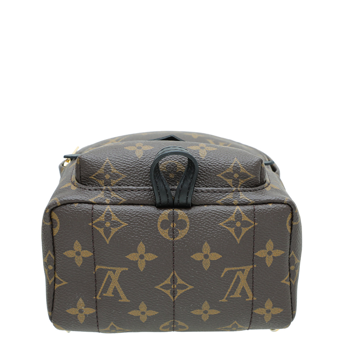 Louis Vuitton Monogram Palm Spring Mini Backpack Bag