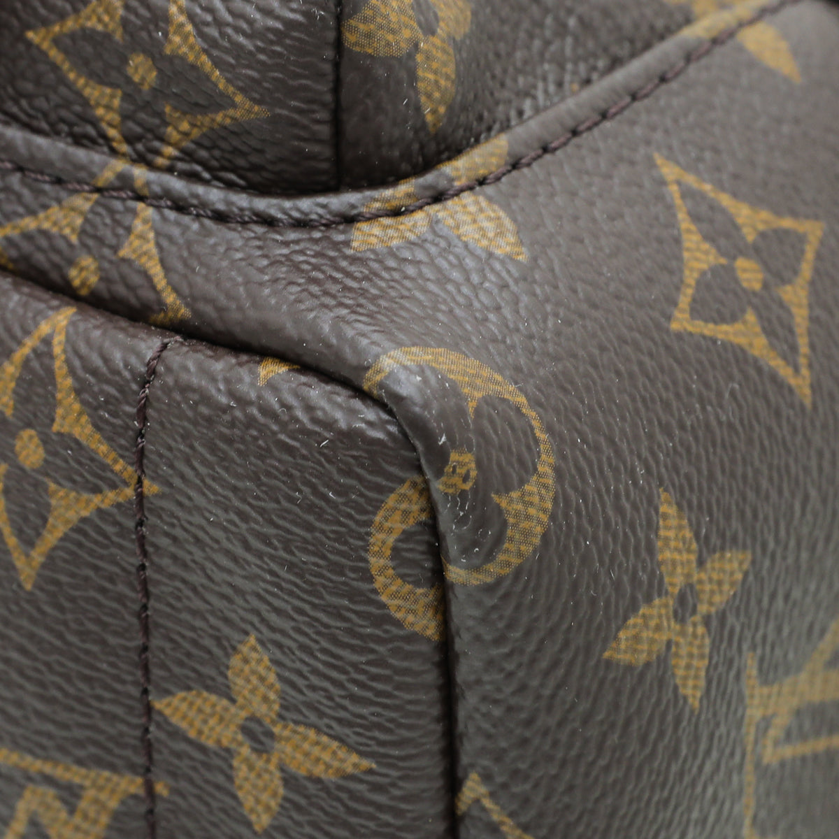 Louis Vuitton Monogram Palm Spring Mini Backpack Bag