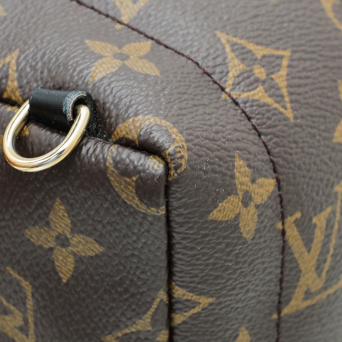 Louis Vuitton Monogram Palm Spring Mini Backpack Bag