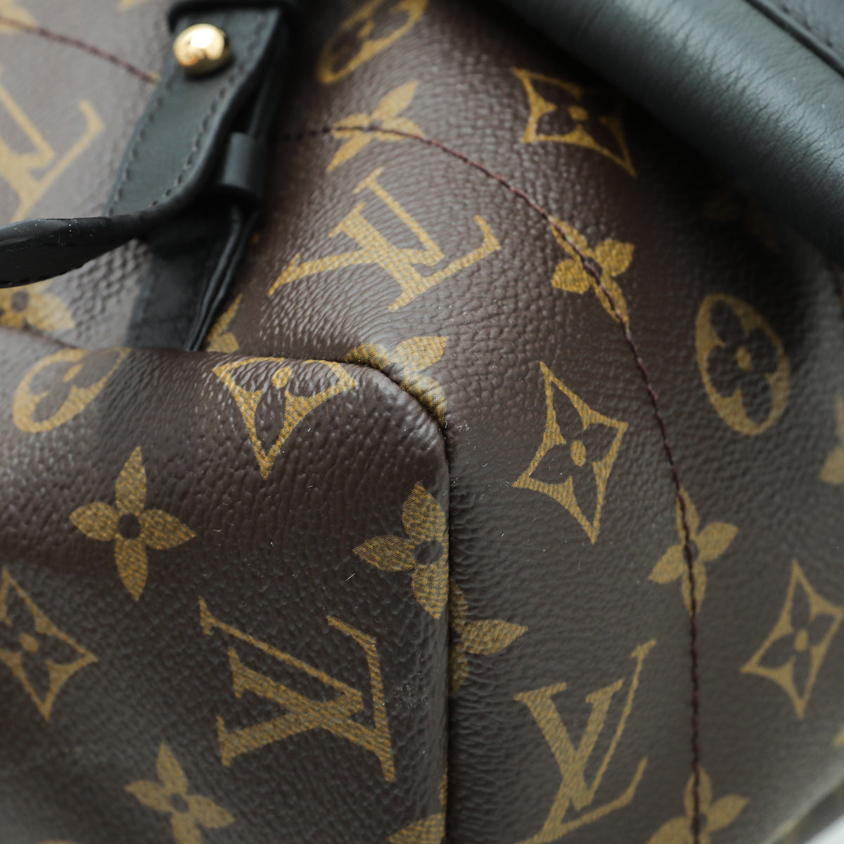 Louis Vuitton Bicolor Monogram Palm Spring Backpack MM Bag