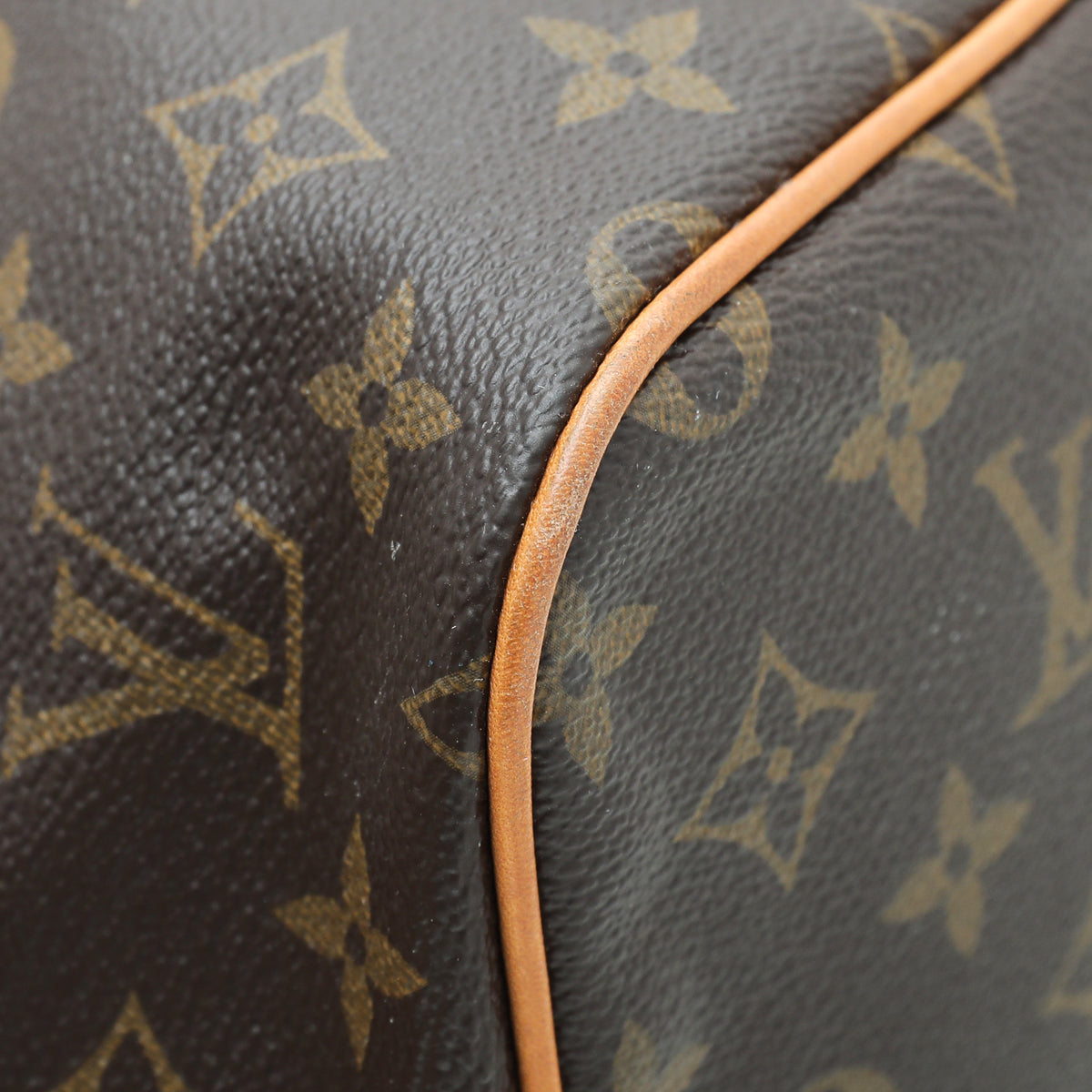 Louis Vuitton Monogram Palermo PM Bag