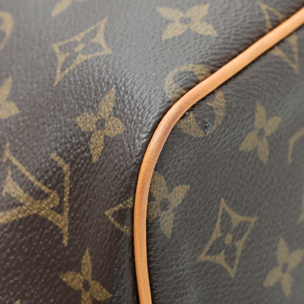 Louis Vuitton Monogram Palermo PM Bag