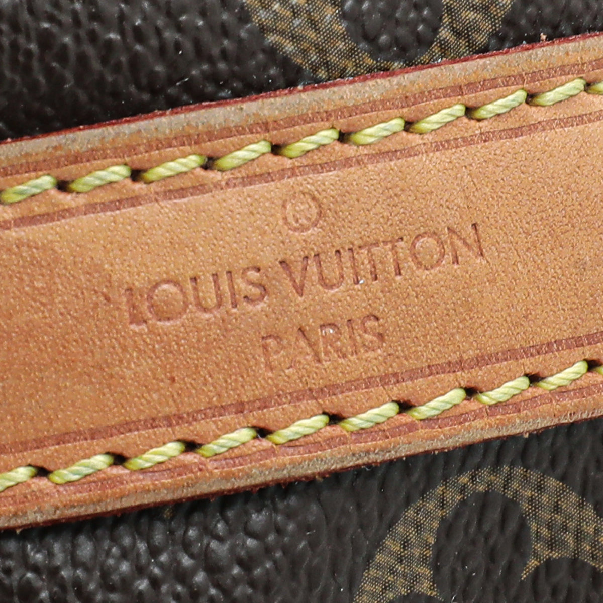 Louis Vuitton Monogram Petit Noe Bag