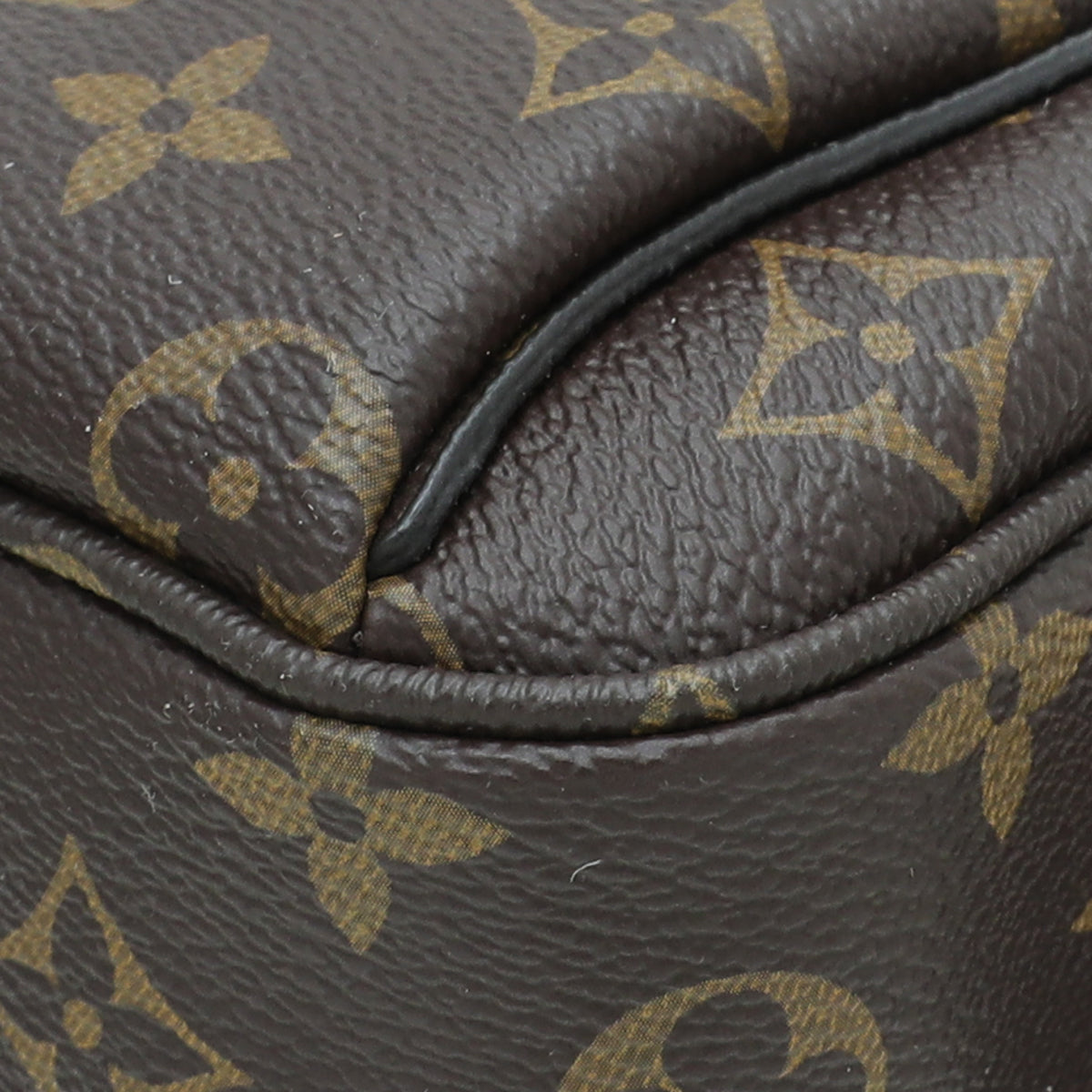 Louis Vuitton Monogram Outdoor Bumbag