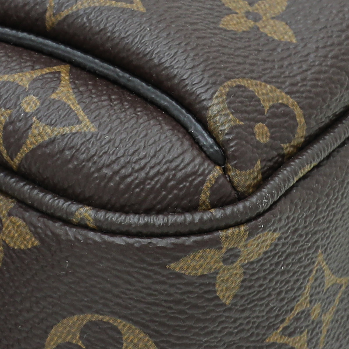 Louis Vuitton Monogram Outdoor Bumbag