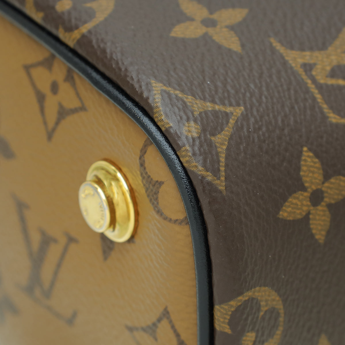 Louis Vuitton Brown Monogram Reverse Vanity PM Bag