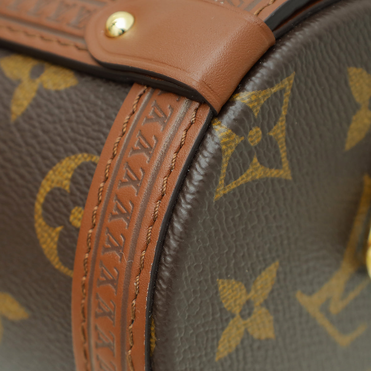 Louis Vuitton Monogram Brown Papillon Trunk Bag