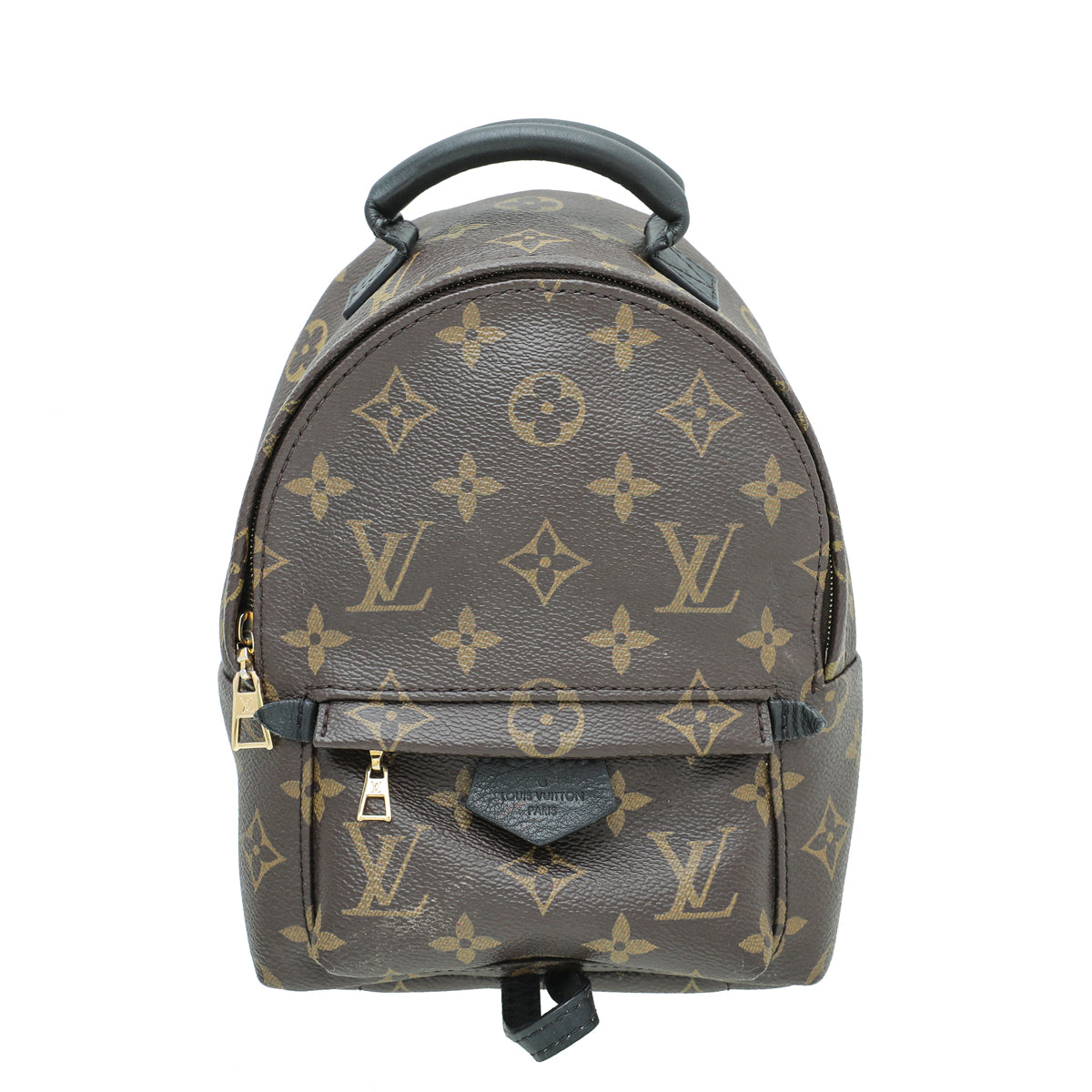 Louis Vuitton Monogram Palm Spring Mini Backpack Bag