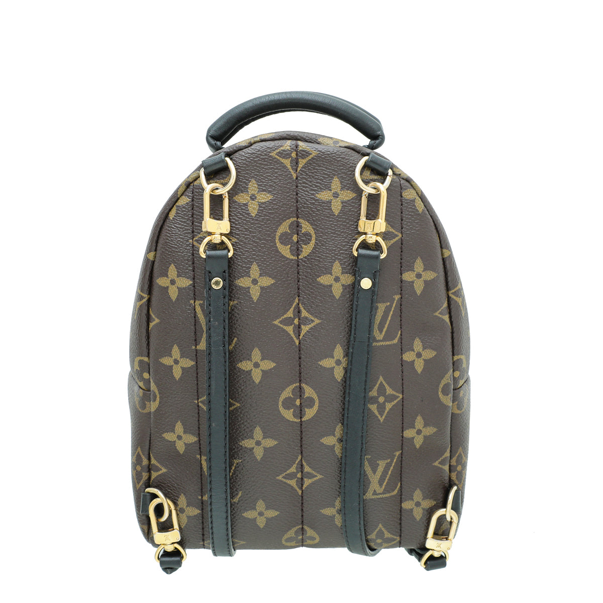 Louis Vuitton Monogram Palm Spring Mini Backpack Bag