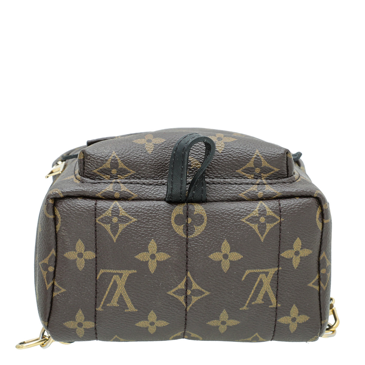 Louis Vuitton Monogram Palm Spring Mini Backpack Bag