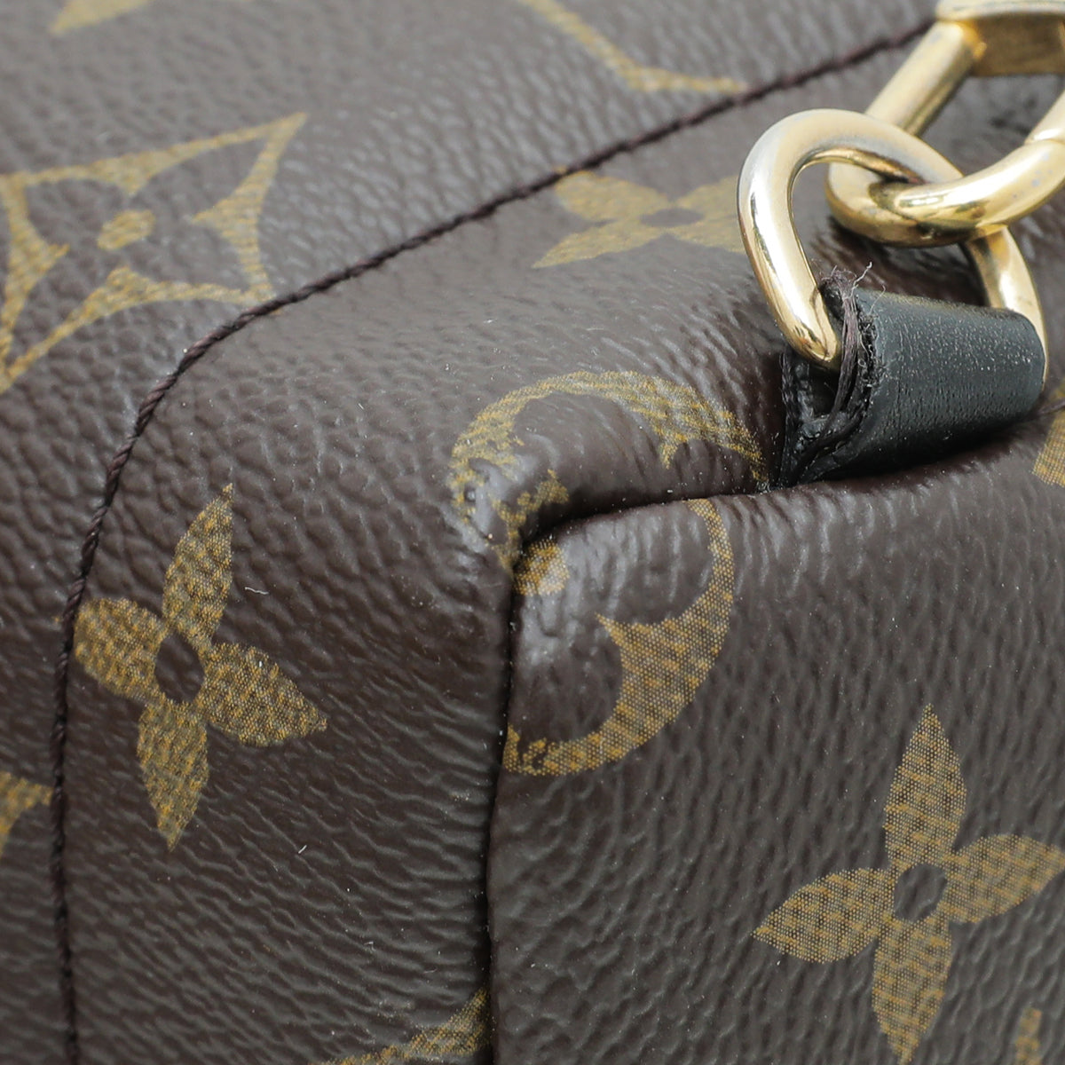 Louis Vuitton Monogram Palm Spring Mini Backpack Bag