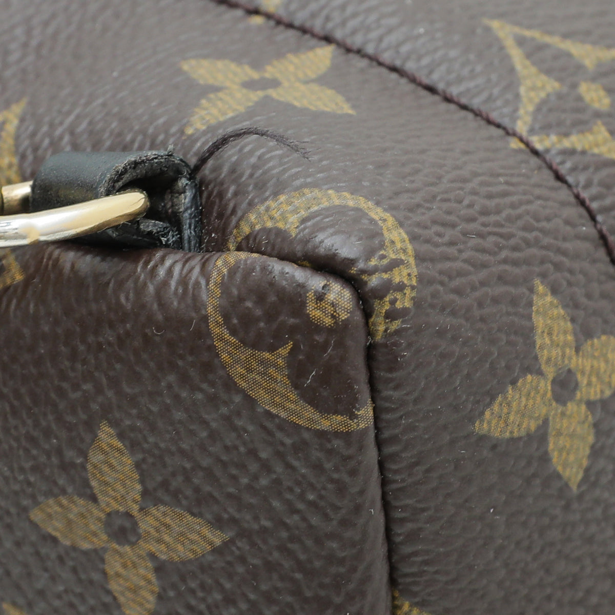 Louis Vuitton Monogram Palm Spring Mini Backpack Bag