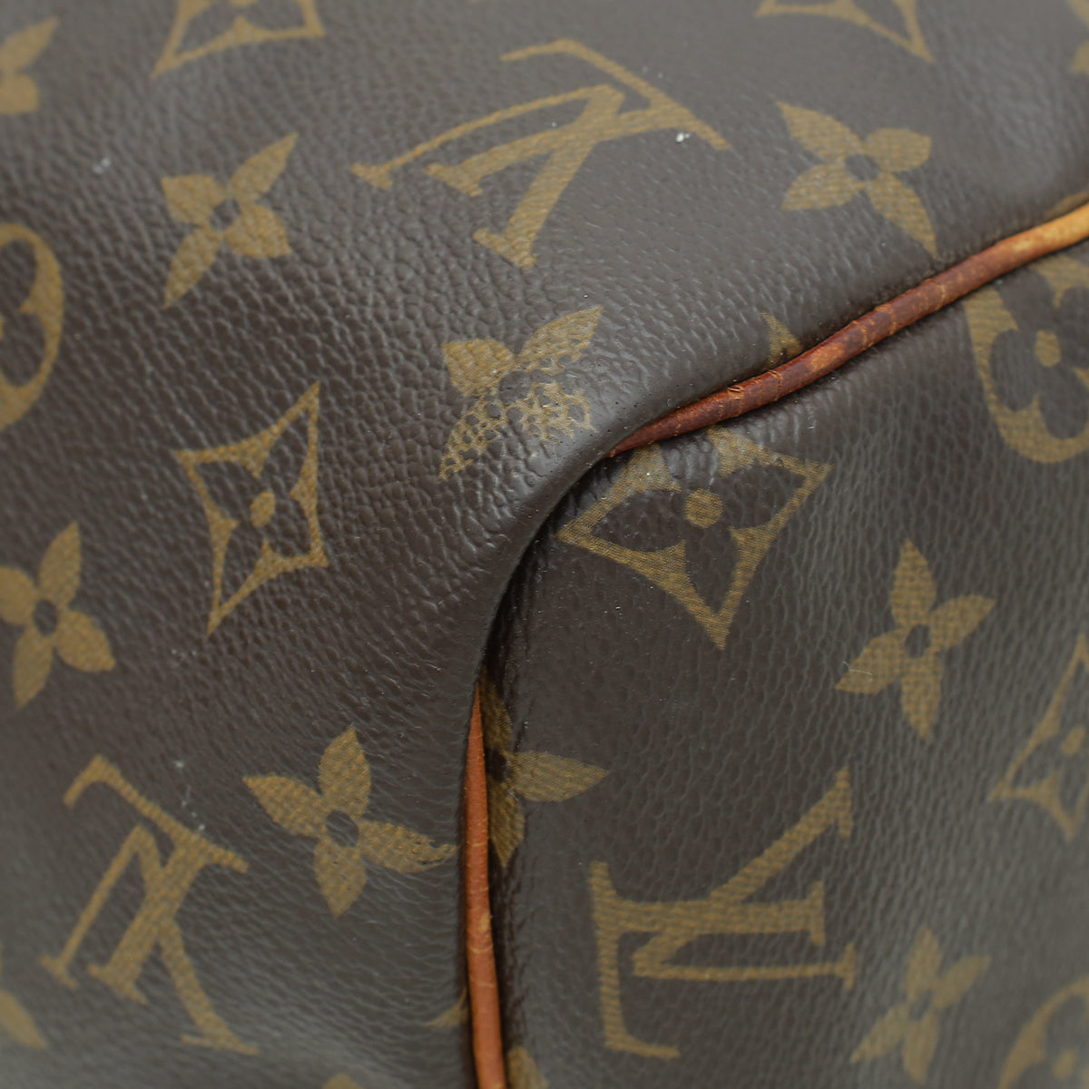 Louis Vuitton Monogram Speedy 30 Bag