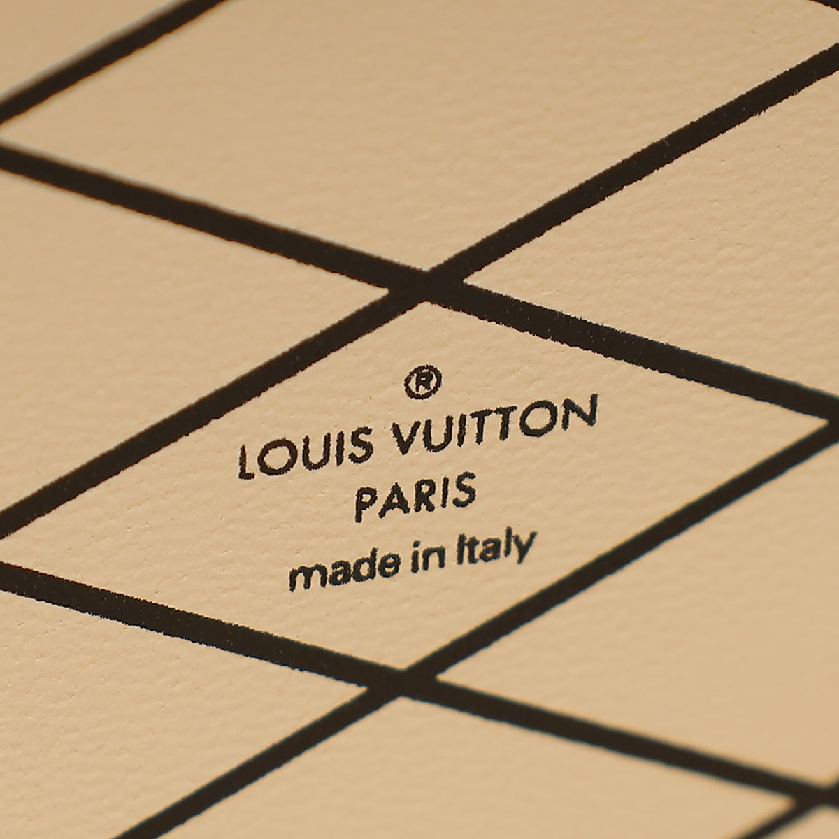 Louis Vuitton Multicolor Ltd. Ed. Petite Malle Bag