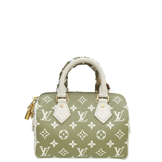 Louis Vuitton Tricolor Spring In The City Speedy 20 Bandouliere Bag w/Twilly