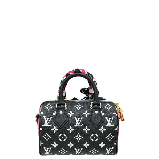 Louis Vuitton Tricolor Spring In The City Speedy 20 Bandouliere Bag W/ Twilly