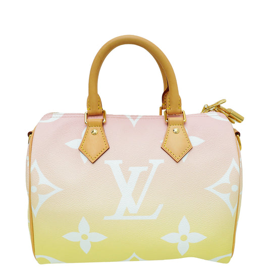 Louis Vuitton Bicolor By The Pool Speedy Bandouliere 25 Bag