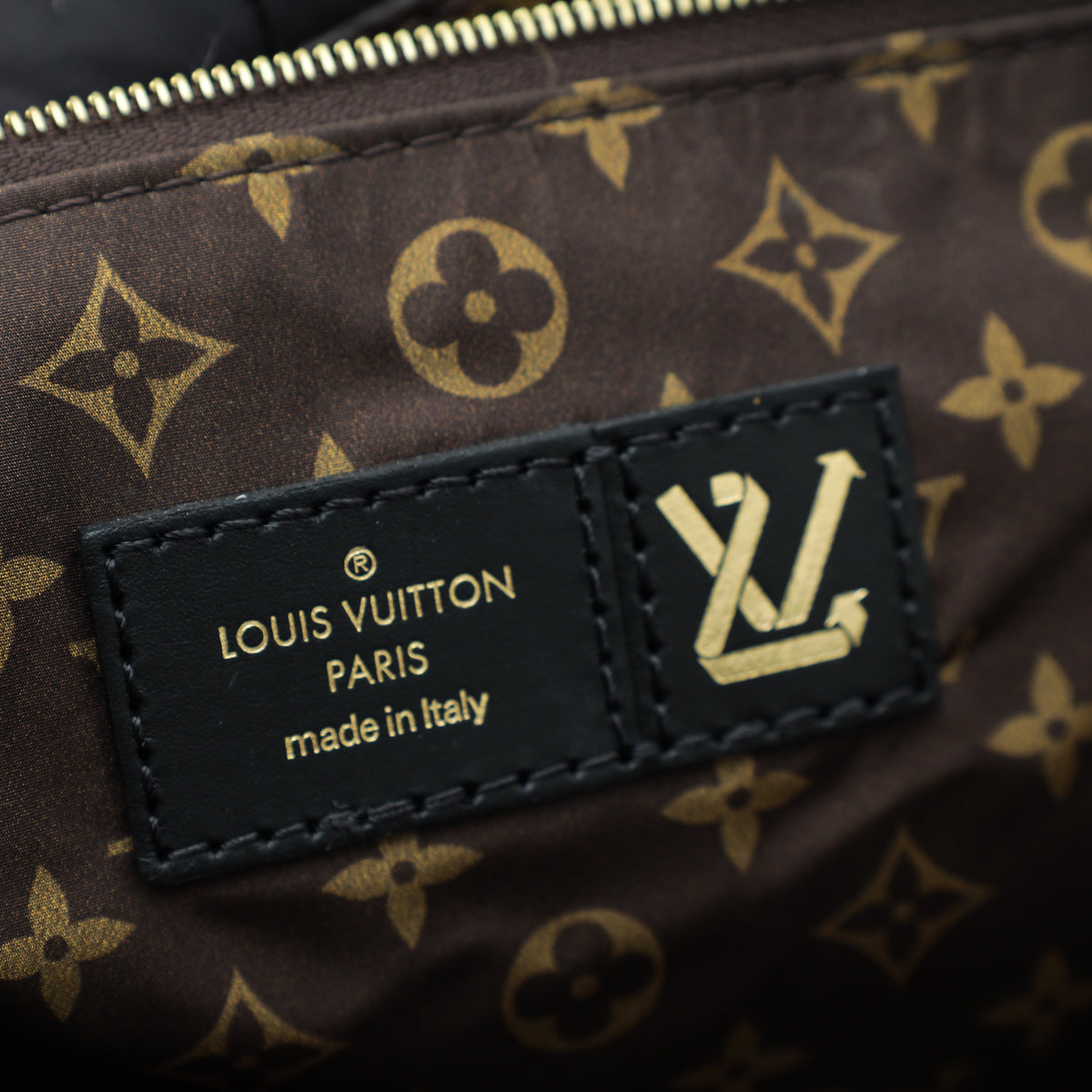 Louis Vuitton Bicolor Econyl Monogram Pillow Giant Onthego GM Bag