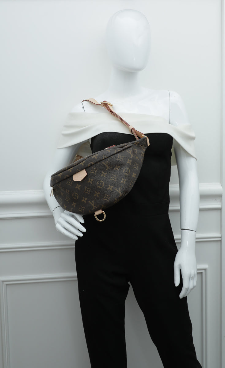 Louis Vuitton Brown Monogram Bumbag