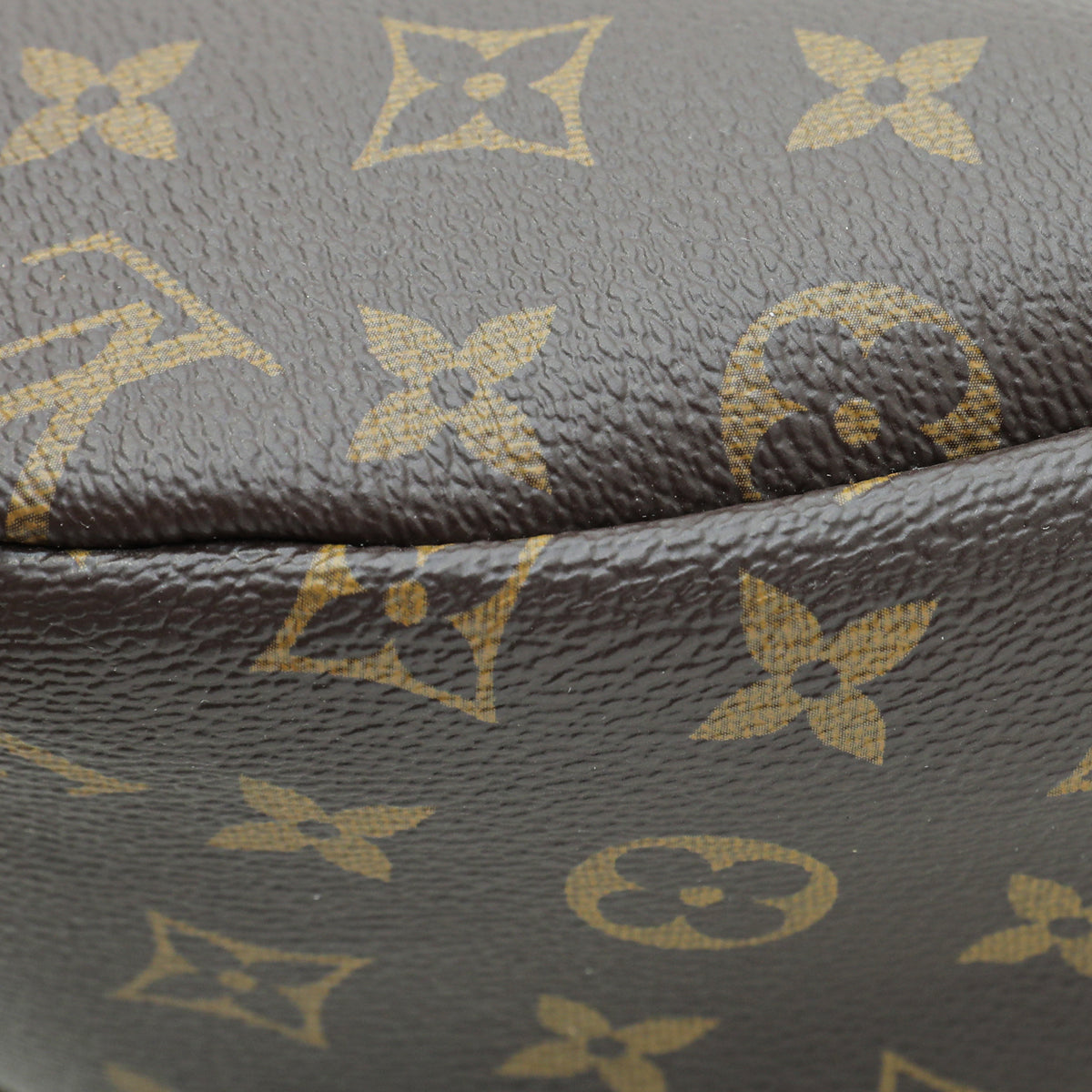 Louis Vuitton Brown Monogram Bumbag