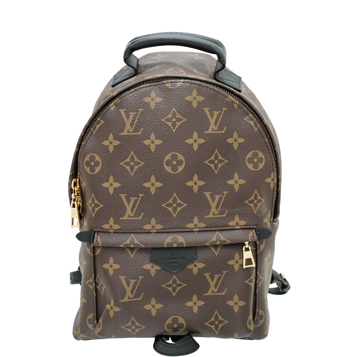 Louis Vuitton Monogram Palm Spring PM BackPack Bag