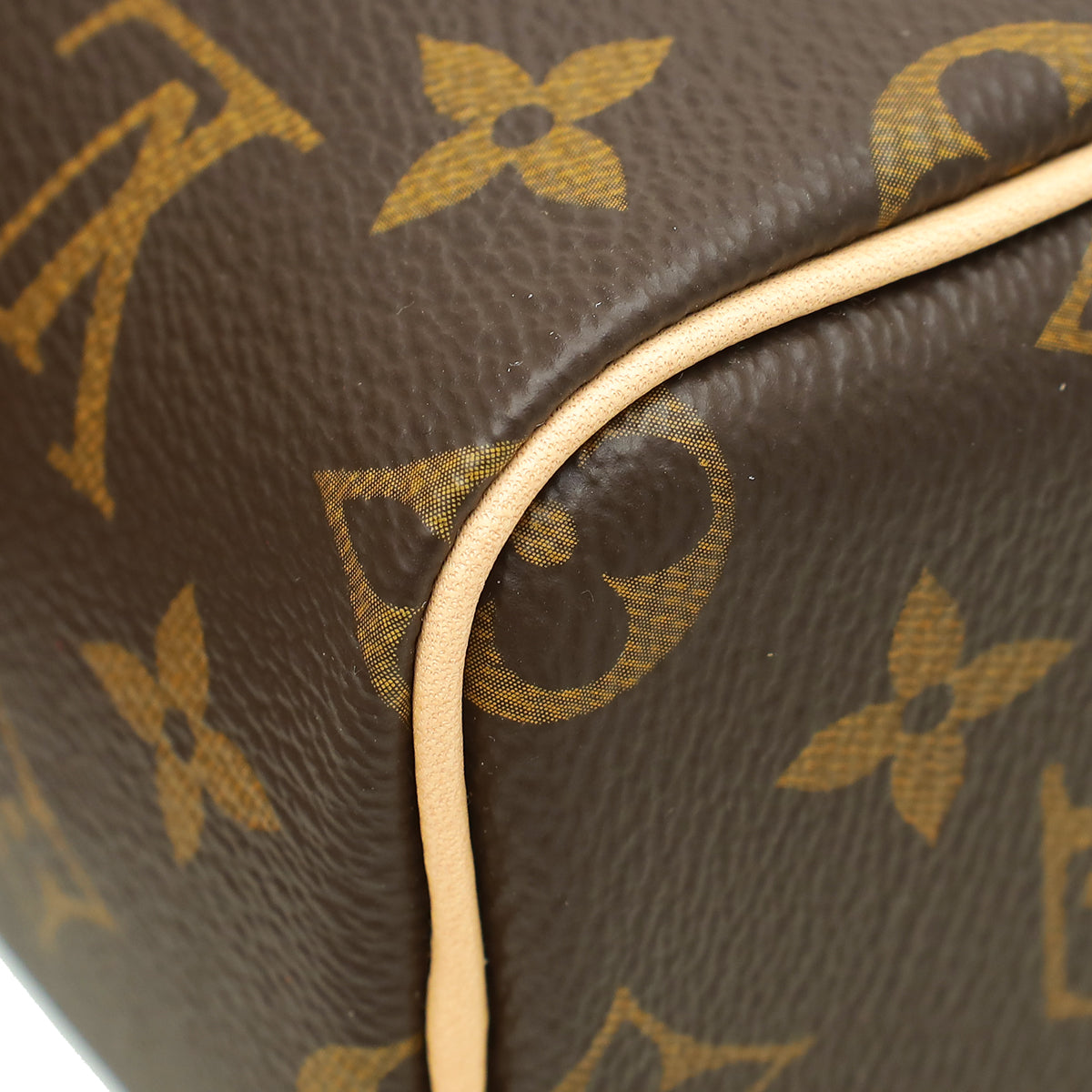 Louis Vuitton Monogram Nano Speedy Bag