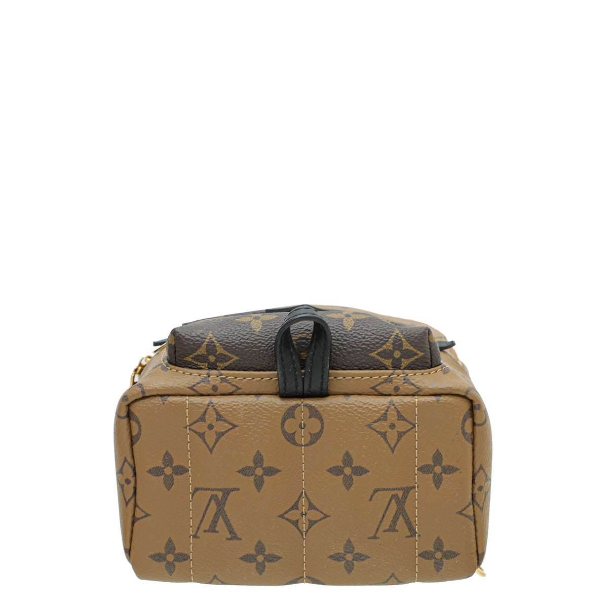 Louis Vuitton Monogram Reverse Palm Spring Mini Backpack Bag