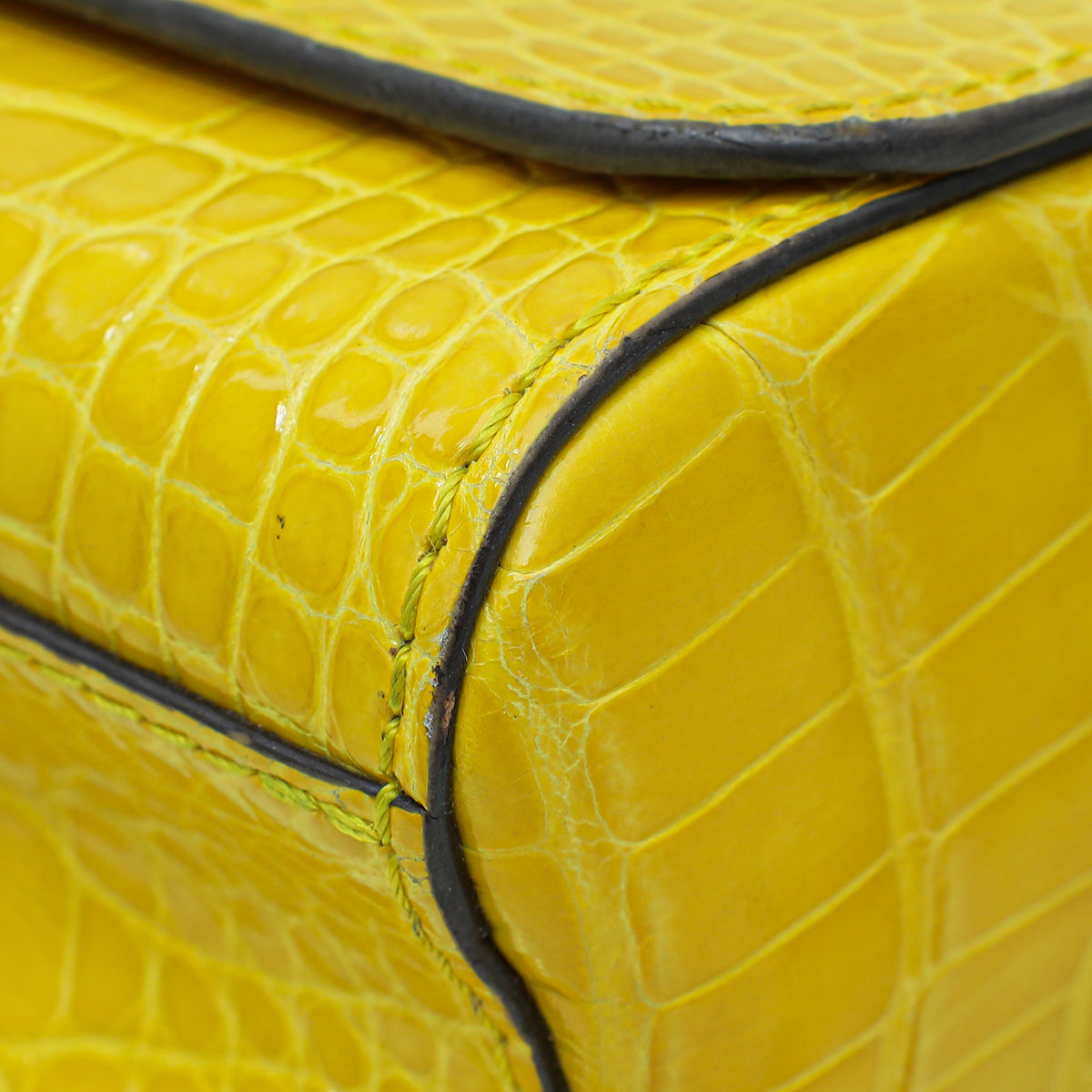 Louis Vuitton Jaune D'or Alligator Twist Bag