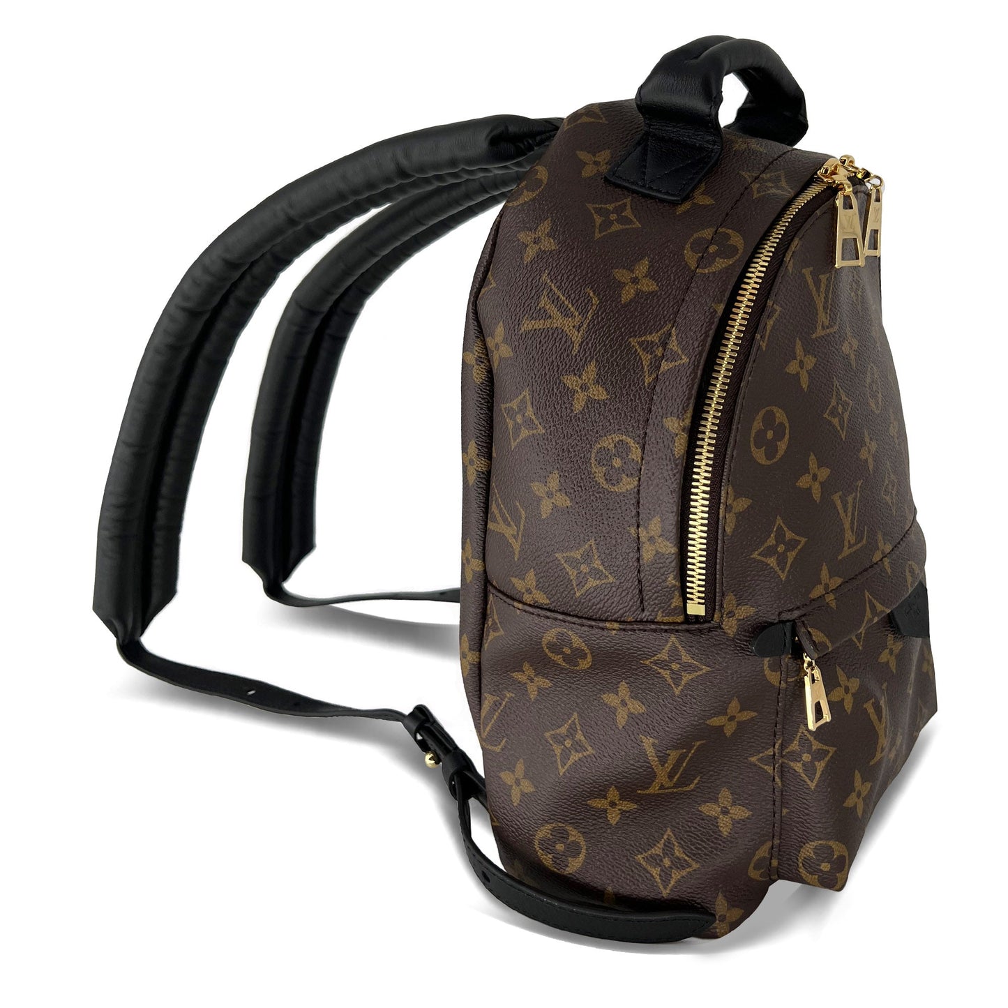 Louis Vuitton Palm Springs PM monogram