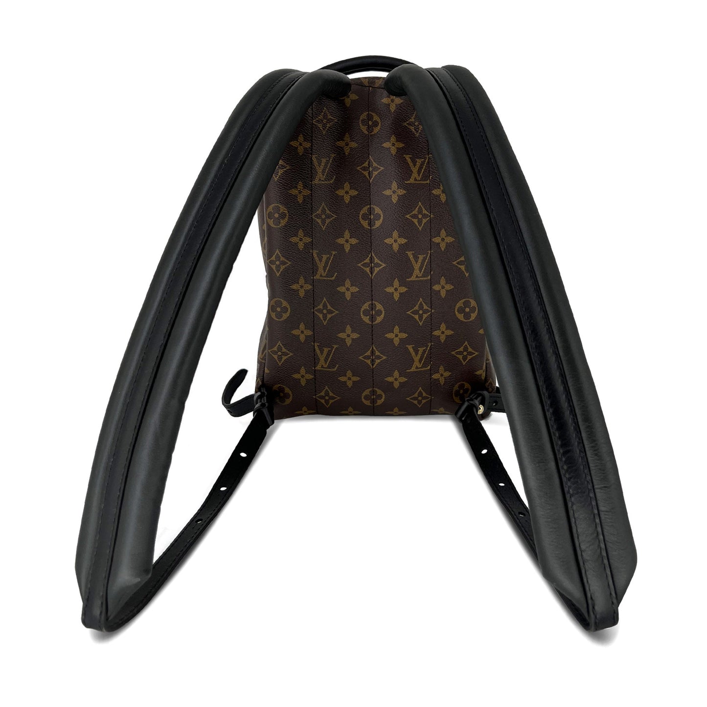 Louis Vuitton Palm Springs PM monogram