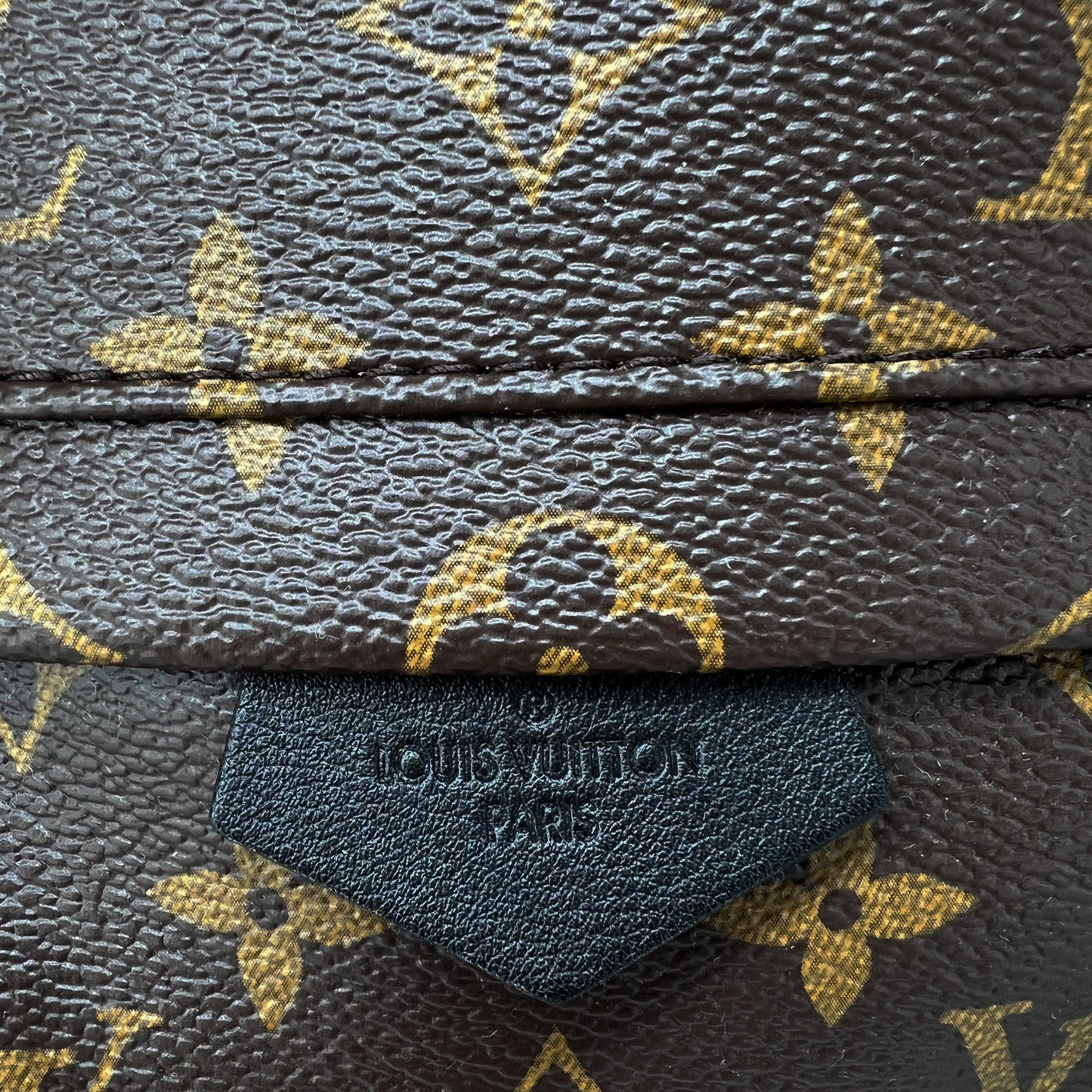 Louis Vuitton Palm Springs PM monogram