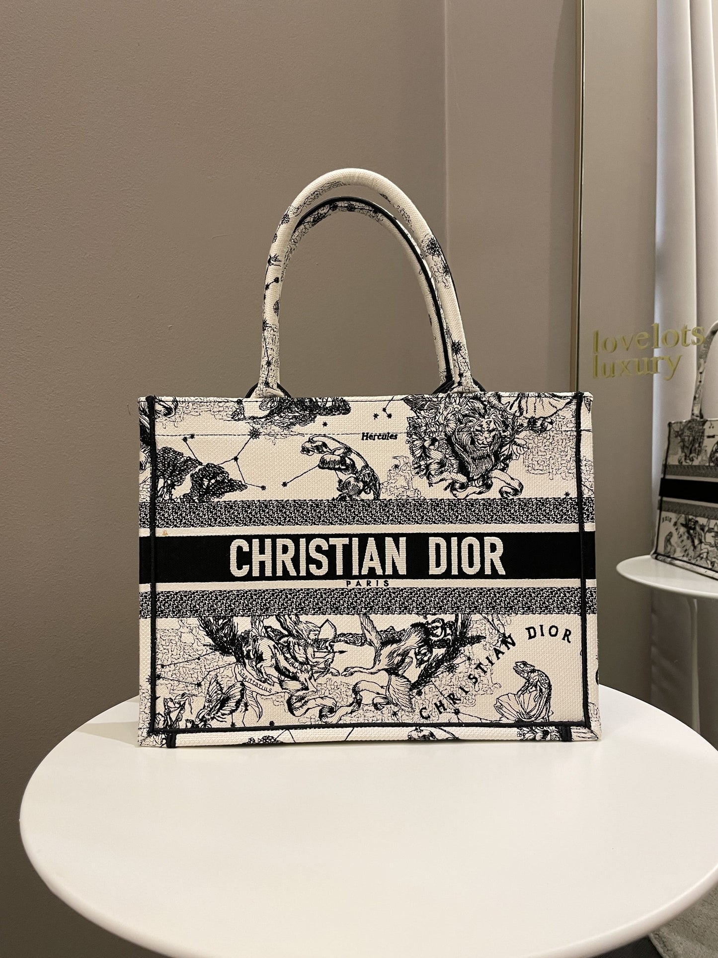 Dior Toile De Jouy Zodiac Book Tote Black/ White Embroidery