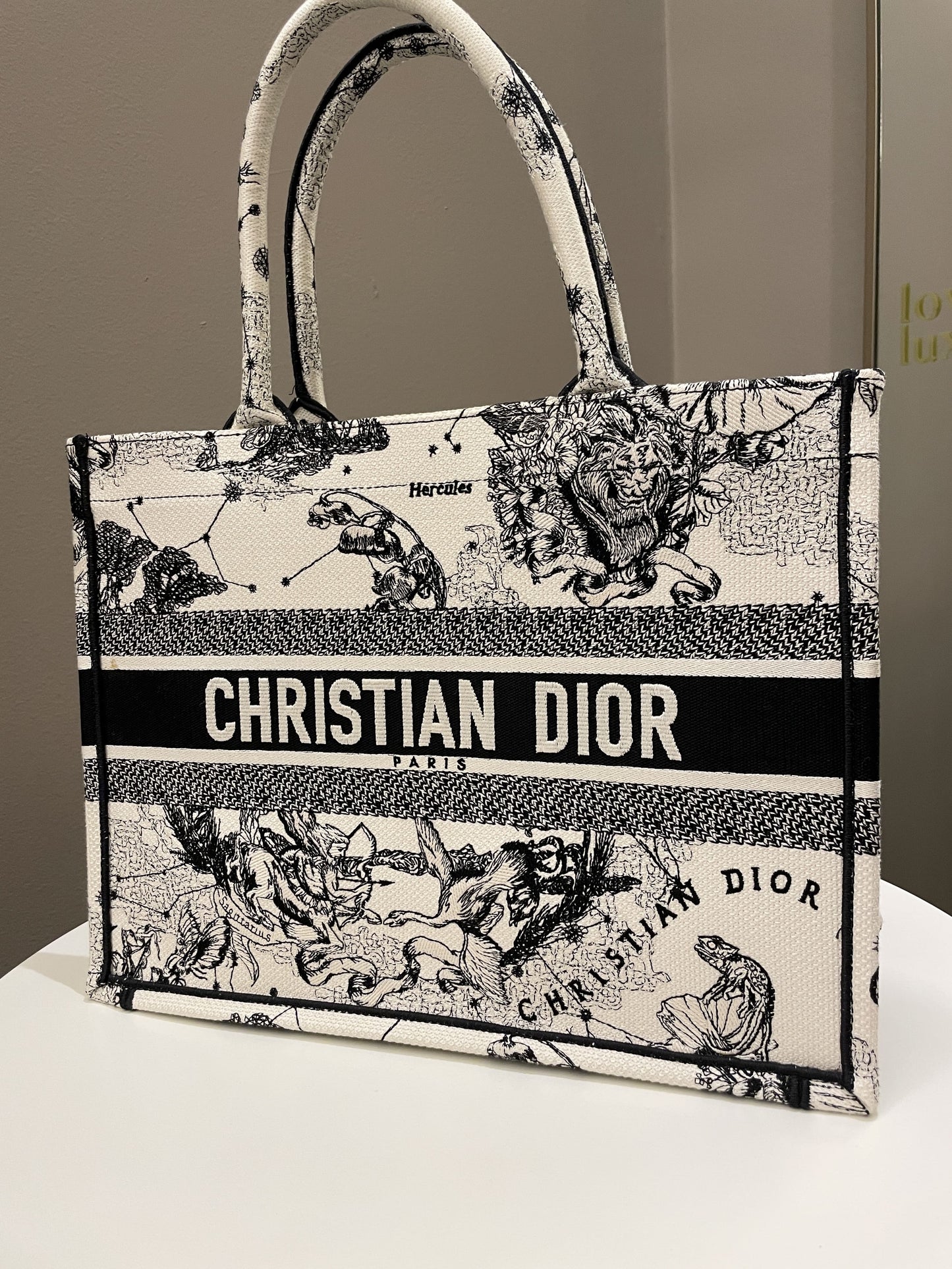 Dior Toile De Jouy Zodiac Book Tote Black/ White Embroidery