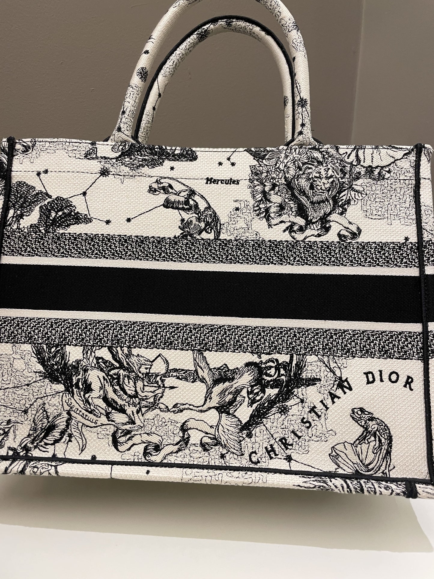 Dior Toile De Jouy Zodiac Book Tote Black/ White Embroidery