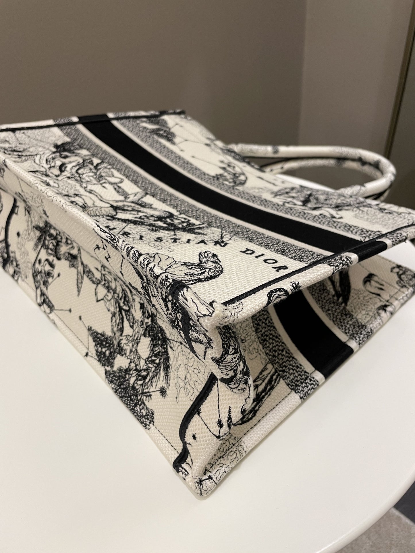 Dior Toile De Jouy Zodiac Book Tote Black/ White Embroidery