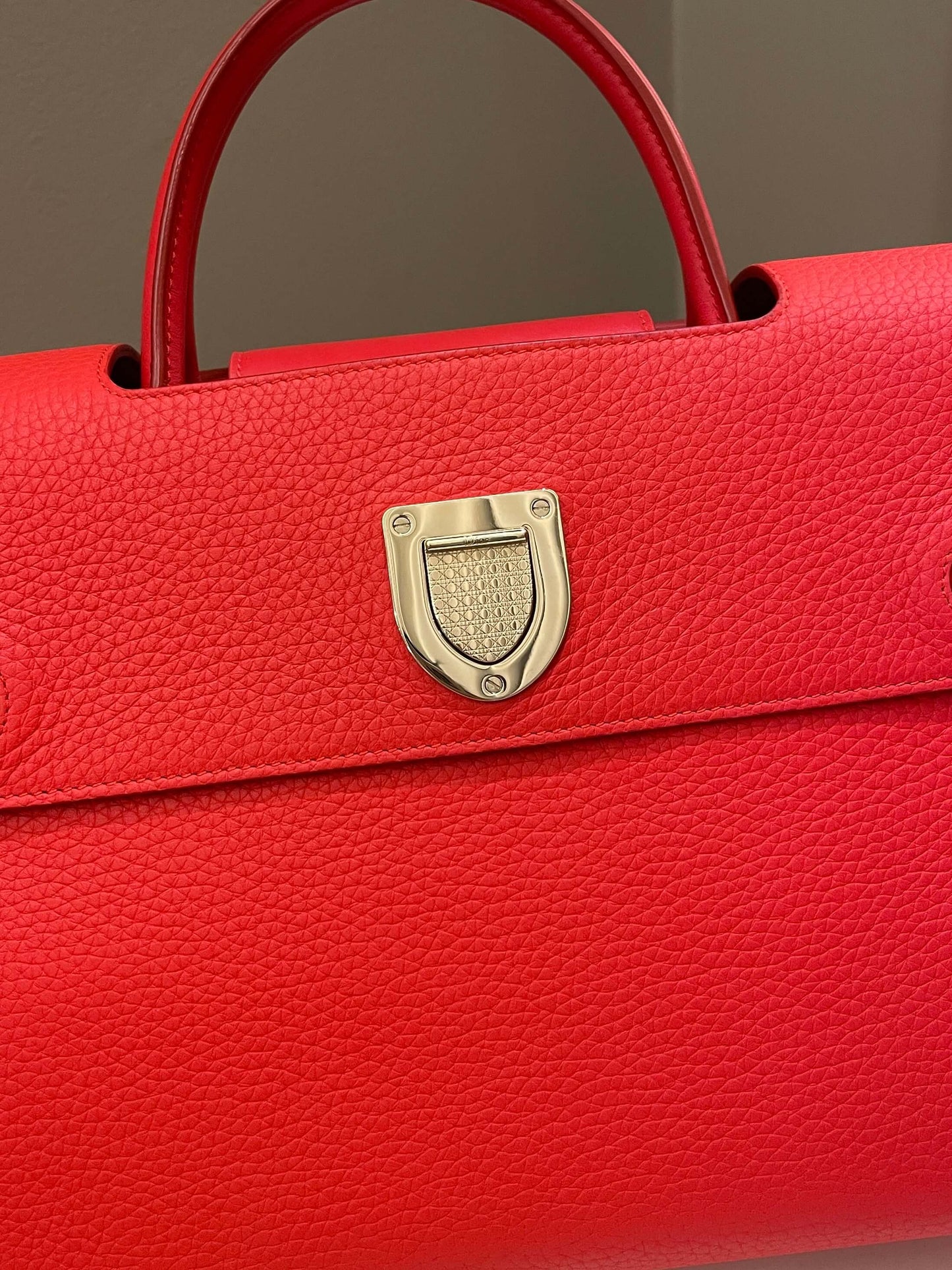 Dior Diorever Tote bag Red Grainy Leather