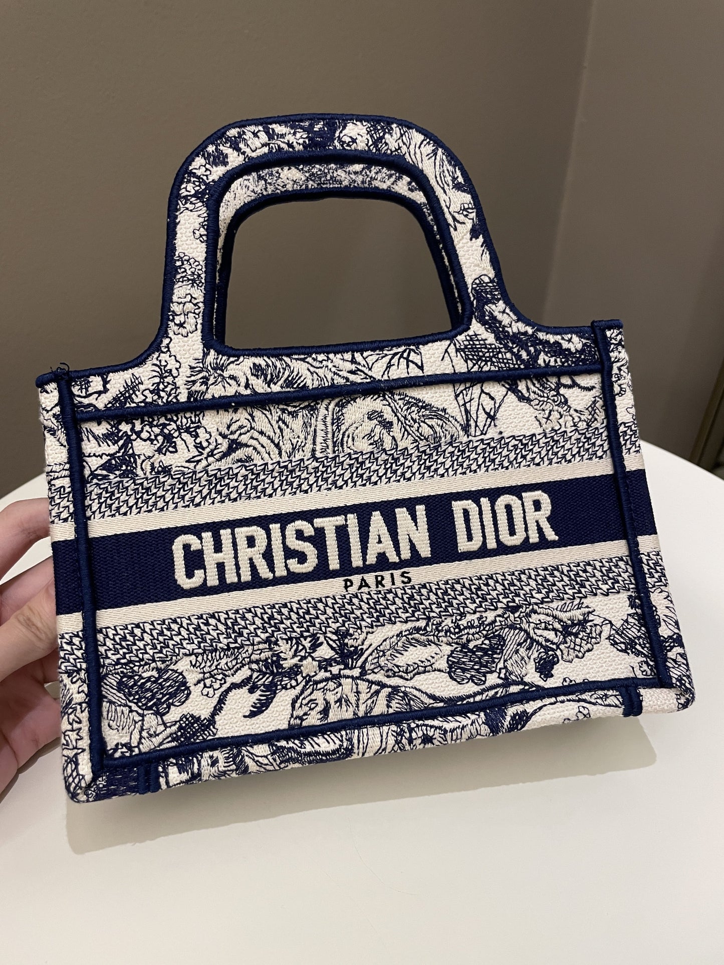 Dior Mini Book Tote Blue