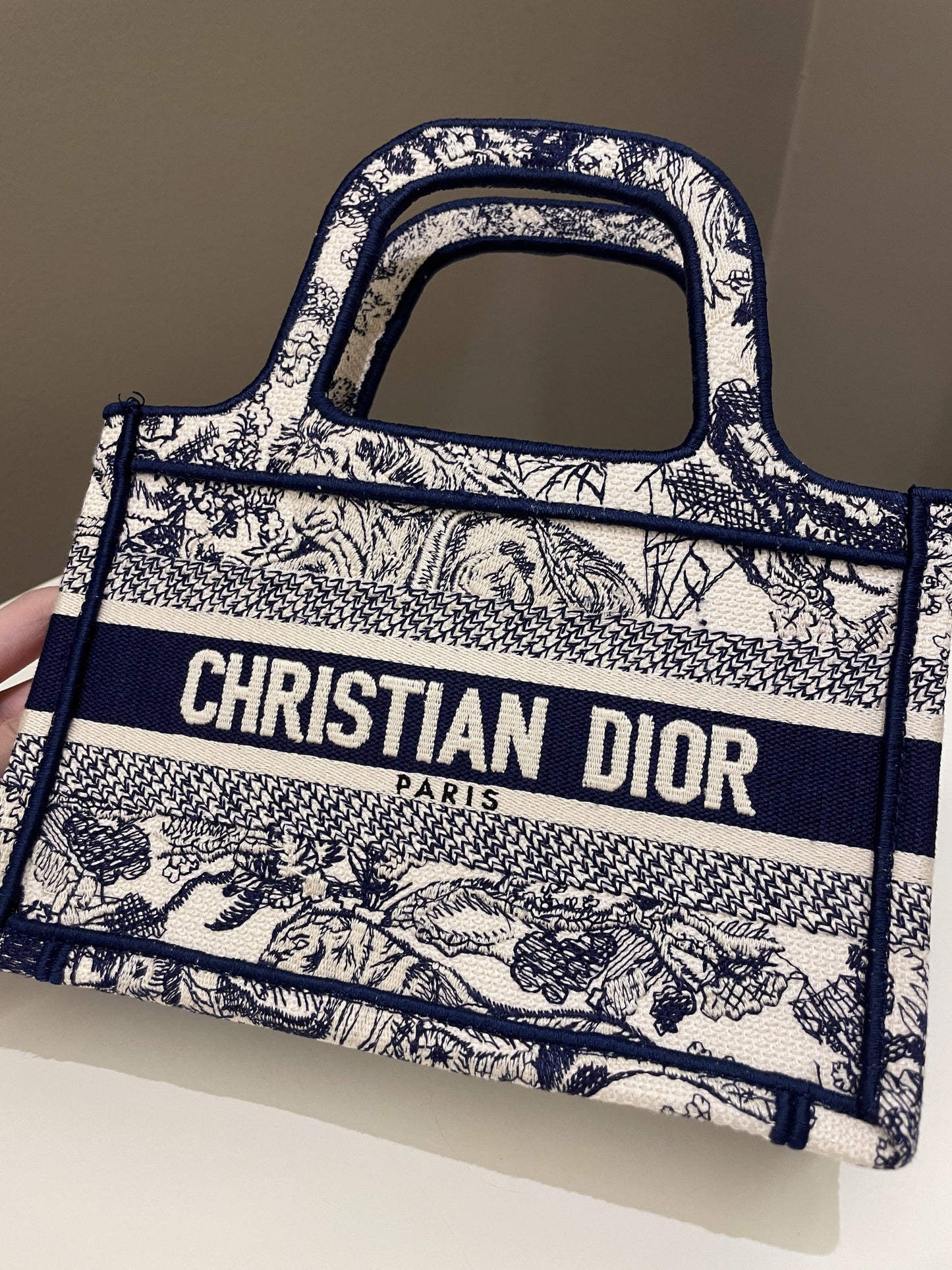 Dior Mini Book Tote Blue