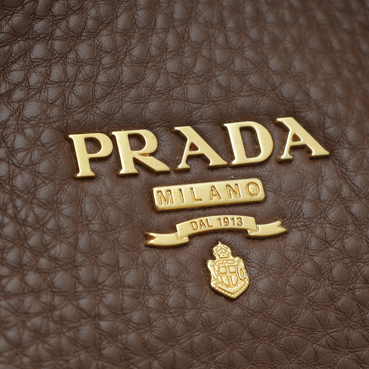 Prada Brown Vitello Daino Hobo Bag