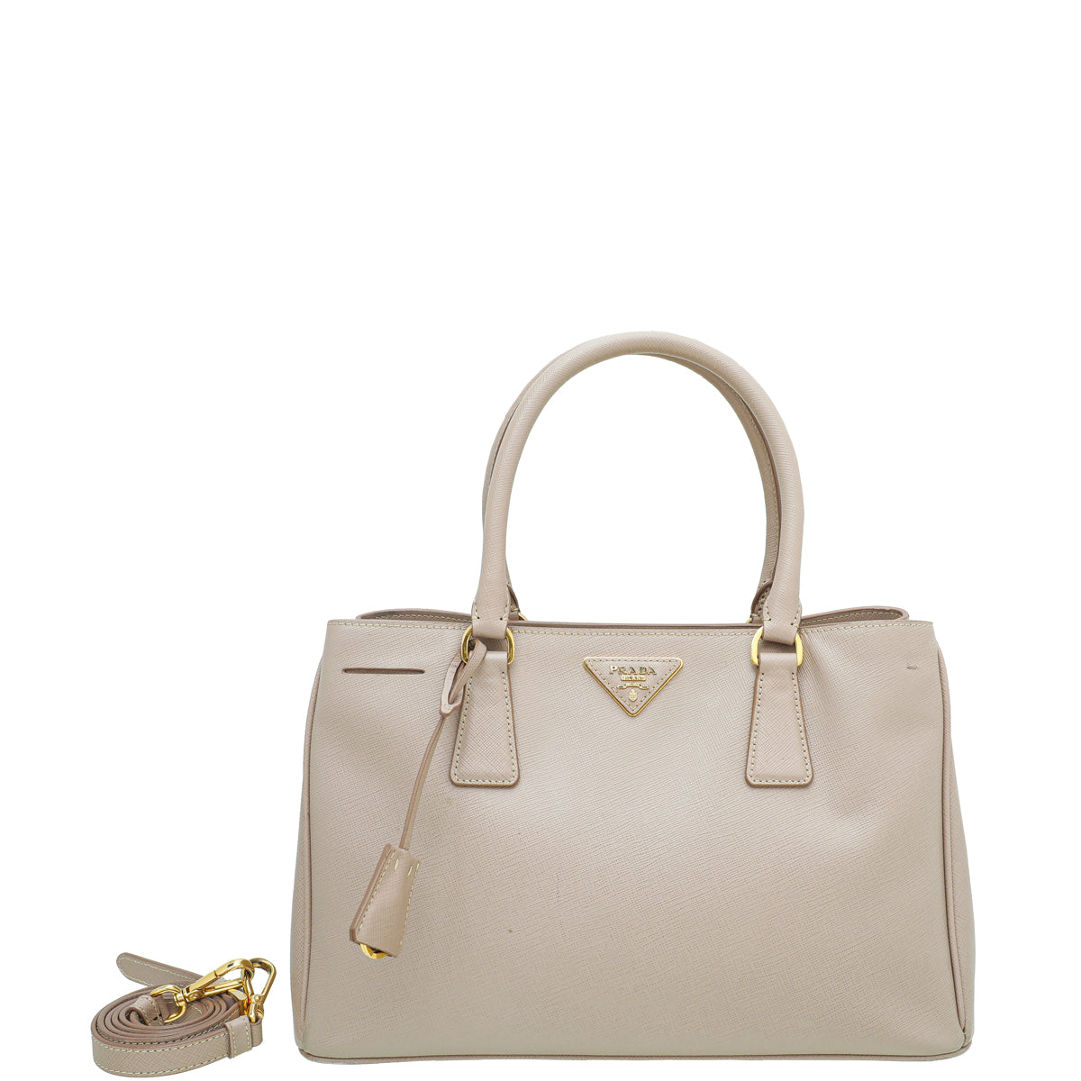 Prada Cammeo Lux Gardener's Small Bag