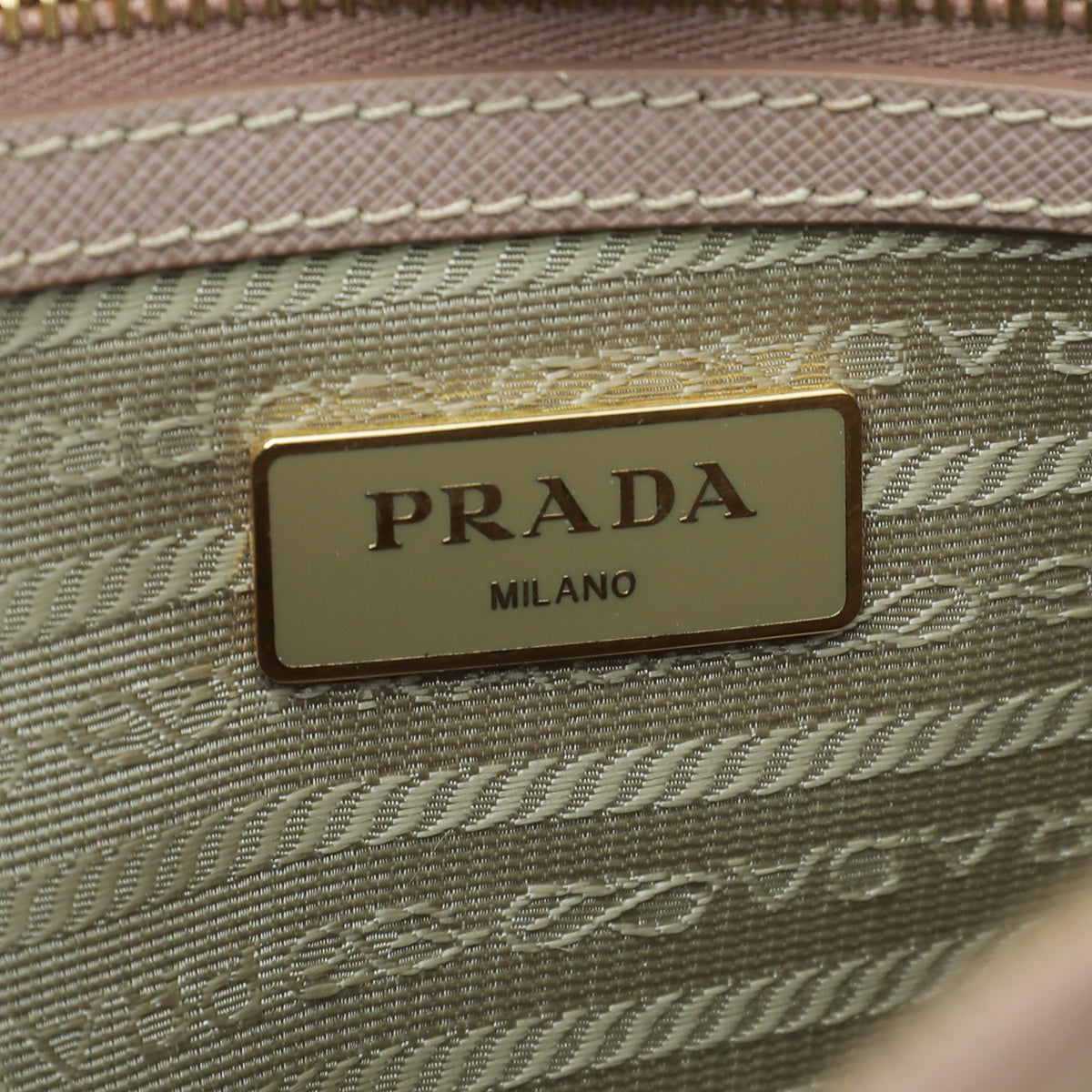 Prada Cammeo Lux Gardener's Small Bag