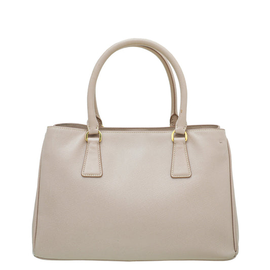 Prada Cammeo Lux Gardener's Small Bag