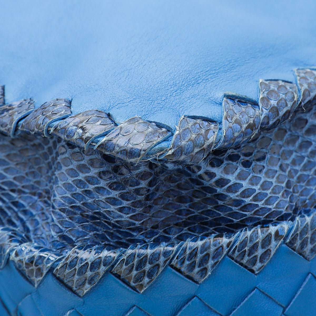 Bottega Veneta Blue Snakeskin Frame Bag