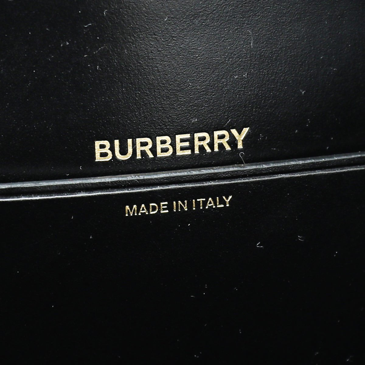 Burberry Black Olympia Mini Bag