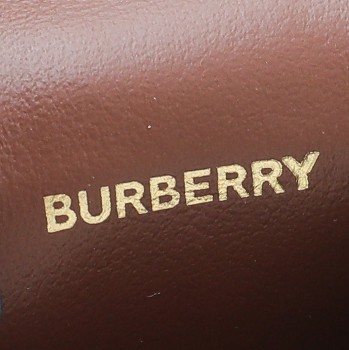 Burberry Monogram TB Earpods