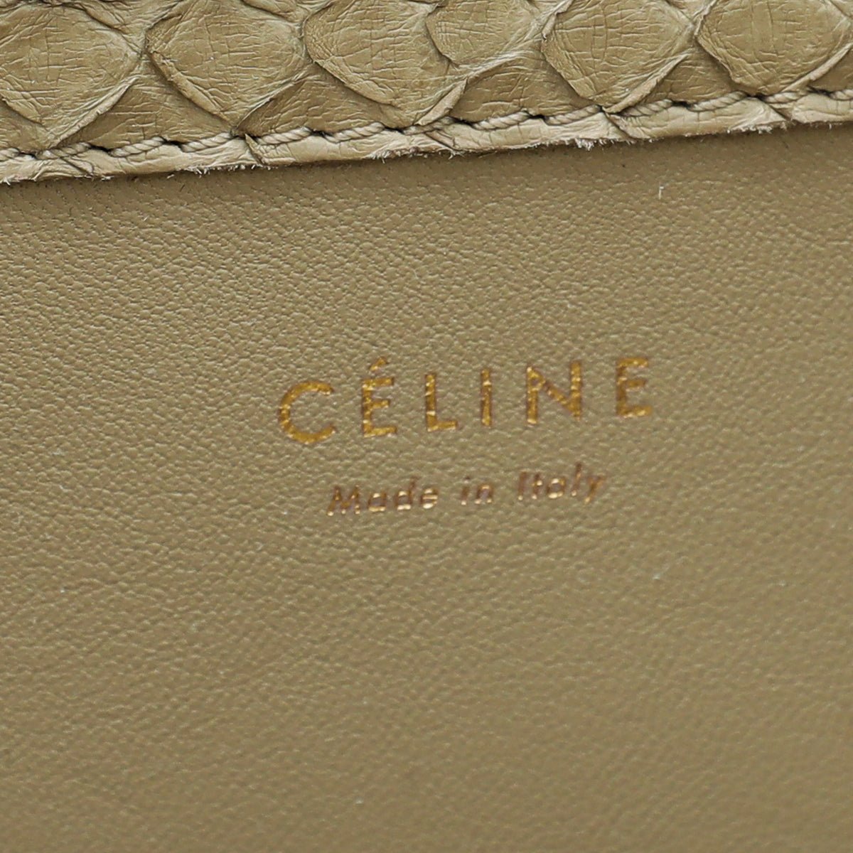 Celine Mastic Python Phantom Medium Luggage Bag