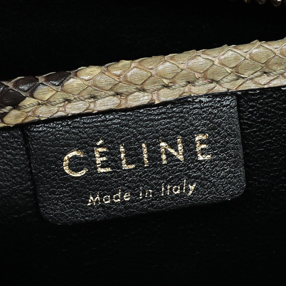 Celine Natural Beige Full Python Nano Luggage Bag