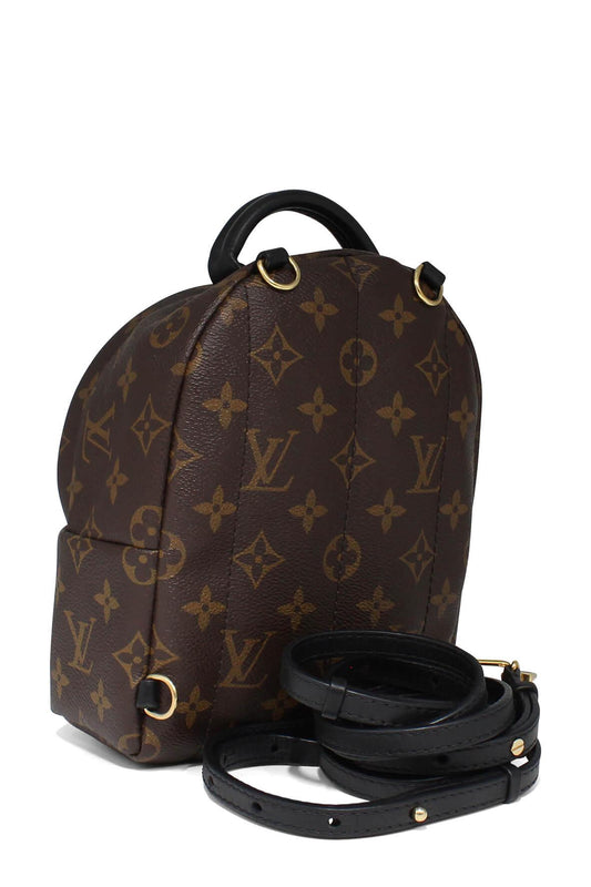 Monogram Mini Palm Springs Backpack